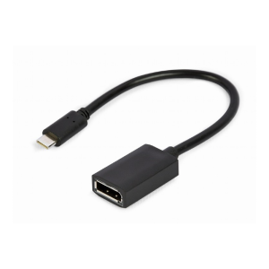 Adapter USB-C na DisplayPort 0,15m - slika 1