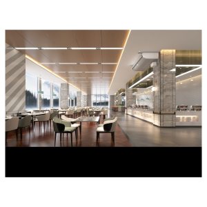 WIPCOOL P130 Črpalka za kondenz - slika 4